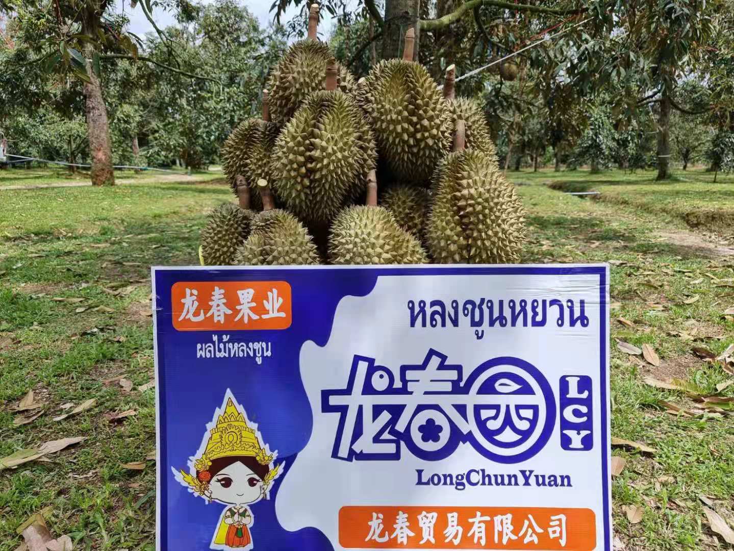 Durian1
